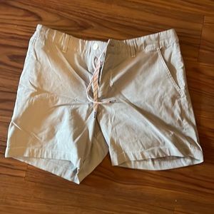Chubbies Grey Flat Front Shorts
